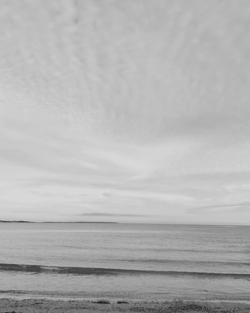 Free Coastal Black and White Wall Art Printable to Instantly Elevate