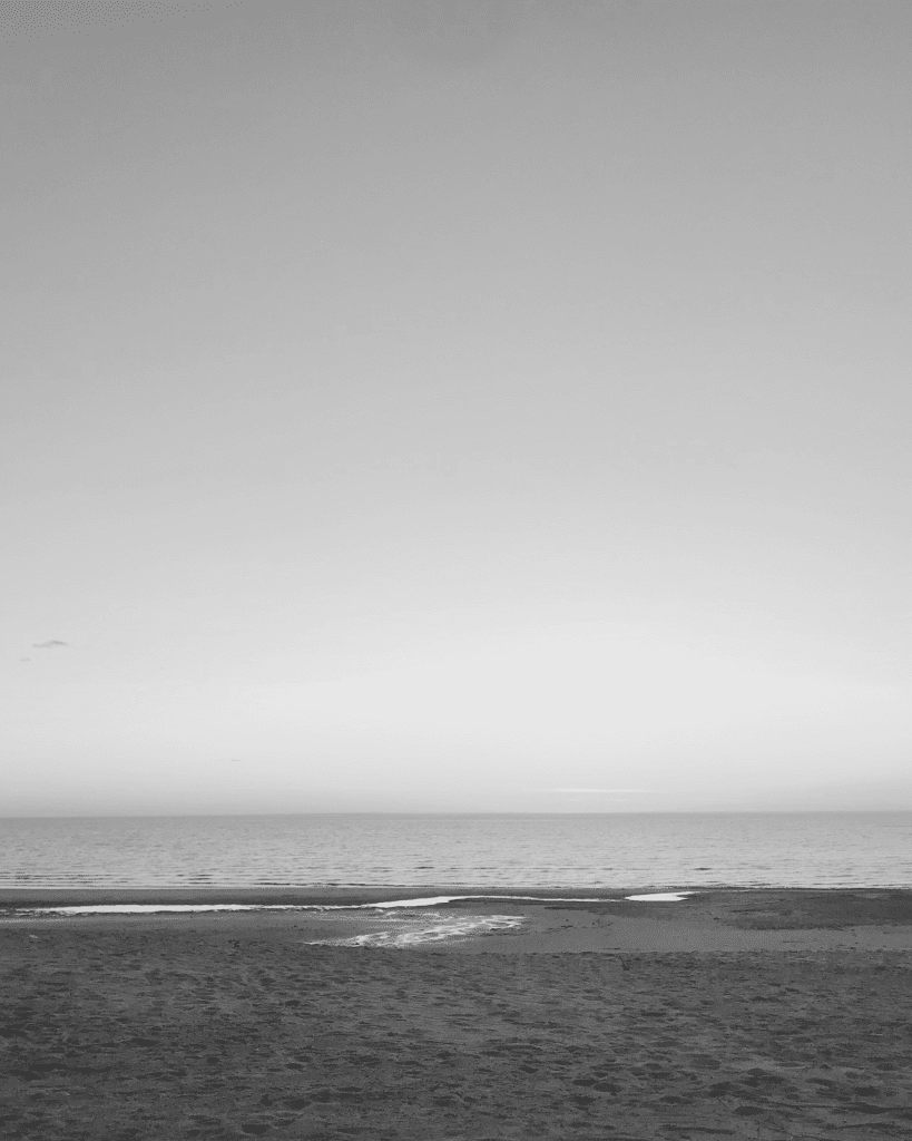 Free Coastal Black and White Wall Art Printable to Instantly Elevate