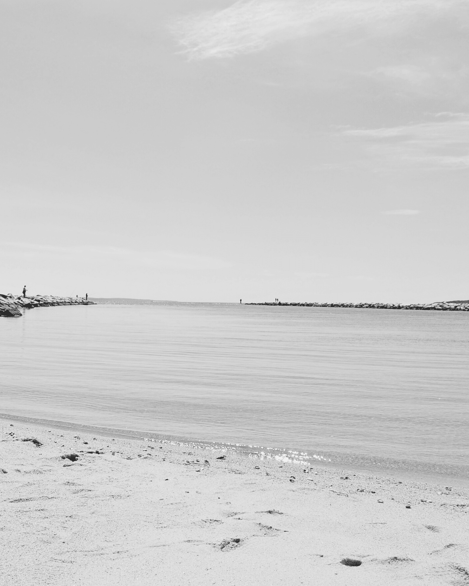 Free Coastal Black and White Wall Art Printable to Instantly Elevate